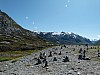014 - Trollstigen