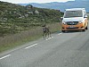 006 - Verso Repvag