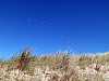 13 - De Zandloper - Dune del Noord Holland