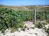 14 - De Zandloper - Dune del Noord Holland