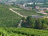 07 - Grinzane Cavour