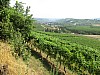 12 - Grinzane Cavour
