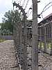 05 - Auschwitz - Filo spinato
