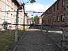25 - Auschwitz - Filo spinato