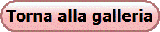 Torna alla galleria