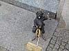 008 - Wroclaw- Gnomi in bronzo