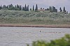 018 - Riserva naturale di Vendicari