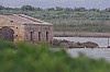 019 - Riserva naturale di Vendicari