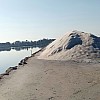 014 - Trapani - Oasi WWF delle saline