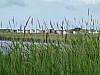 017 - Skanors