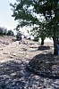 018 - Grosseto - Area archeologica di Rosselle