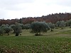 31 - Valdorcia e Crete Senesi