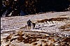 013 - Vacanze montane sui passi