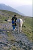 001 - Passo del Giovo - Michela e Stefano con la mucca