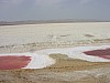 006 -  Chott el Jerid - il lago salato
