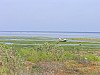 036 -  Isola di Jerba - Laguna