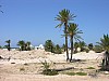 037 -  Isola di Jerba - Panorama