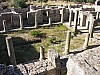009 -  Dougga - Sito archeologico romano