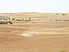 013 -  Thuburbo Majus - Panorama
