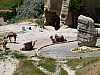71 - Goreme - Museo Open Aire - Parcheggio