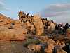49 - Nemrut Dagi - Statue della terrazza ovest