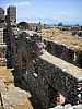 50 - Anamutium - Odeon