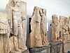 16 - Aphrodisias - Museo - Bassolrilievi