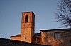 006 - Montone