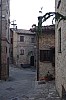 009 - Montone