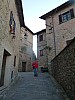 011 - Montone