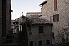 012 - Montone