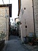 013 - Montone