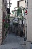 014 - Montone