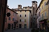 016 - Montone