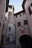 017 - Montone