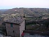 023 - Montone