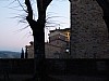 025 - Montone