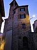 034 - Montone