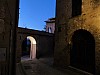 036 - Montone