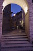 037 - Montone