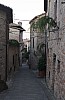 043 - Montone