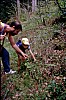 004 - San Lucano - Passeggiata a Soccol con ricerca funghi