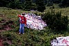 009 - Passo Duran - Escursione al Rifugio Carestiato