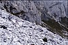 007 - Escursione al Nuvolau e Averau - Le marmotte