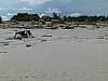 012 - Spiaggia di Barricata