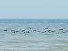 011 - Spiaggia di Boccasette