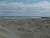 023 - Spiaggia di Boccasette