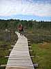 09 - Estonia - Area Rannemetsa - Percorso attrezzato