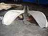 08 - Norvegia - Isole Vesteralen - Andenes - Museo balene