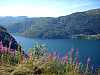 28 - Norvegia - Da Lofoten al Circolo Polare - Panorama